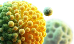 Виды аллергического ринита и особенности лечения в домашних условиях