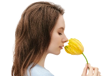 Лечение аллергии