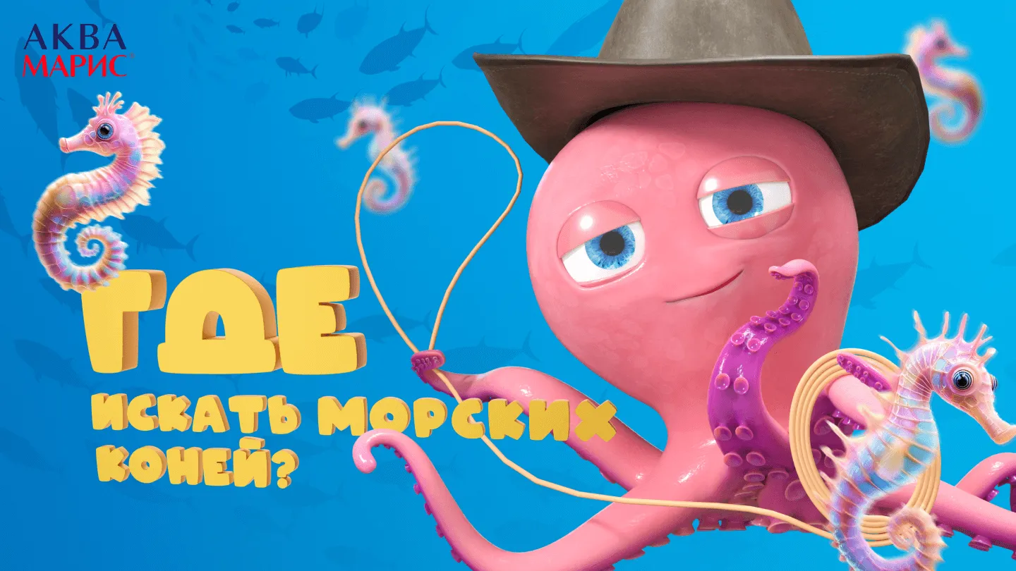 Где искать морских коней?