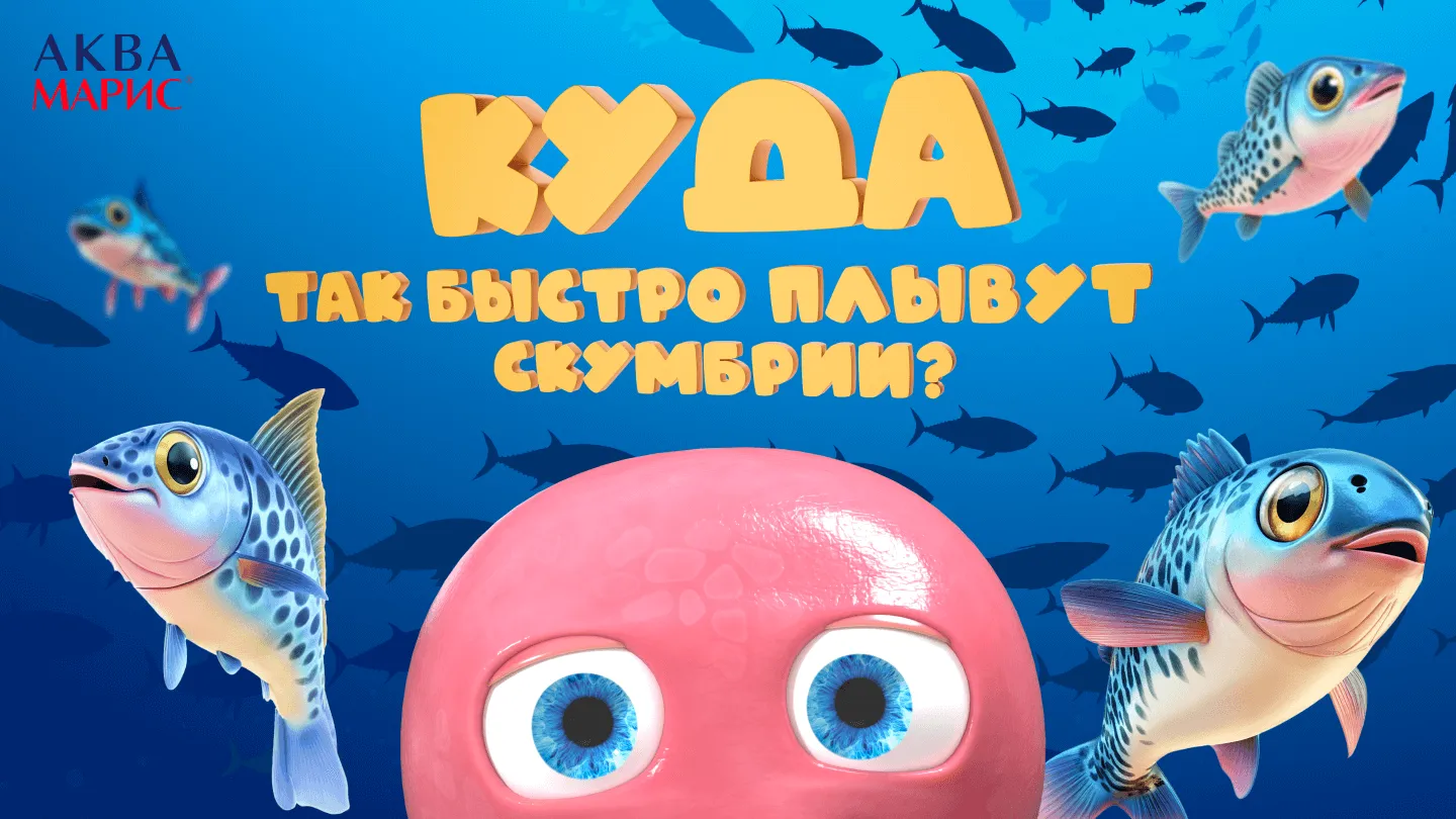 Куда так быстро плывут скумбрии?